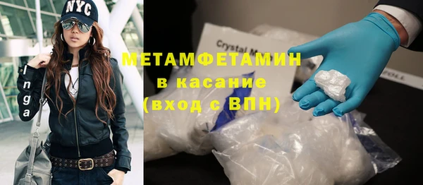 прущие грибы Нязепетровск