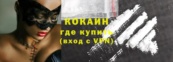 соль ск Няндома