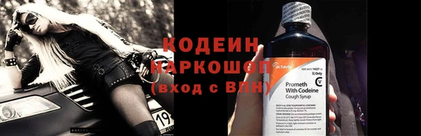 соль ск Няндома