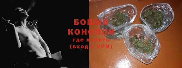 прущие грибы Нязепетровск