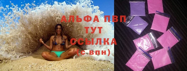 прущие грибы Нязепетровск