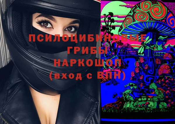 соль ск Няндома