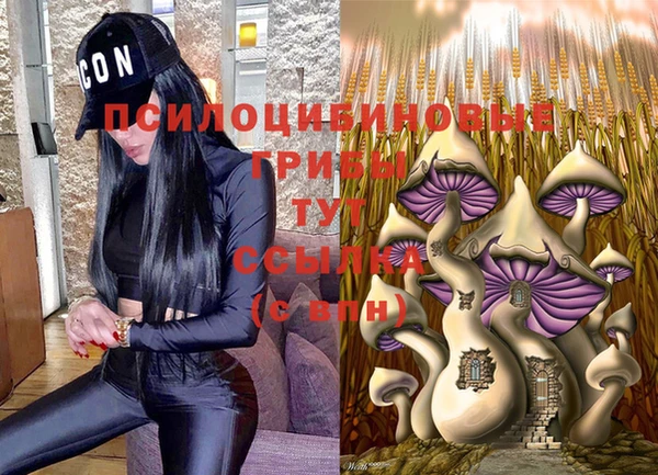 прущие грибы Нязепетровск