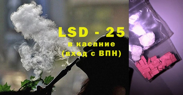 прущие грибы Нязепетровск