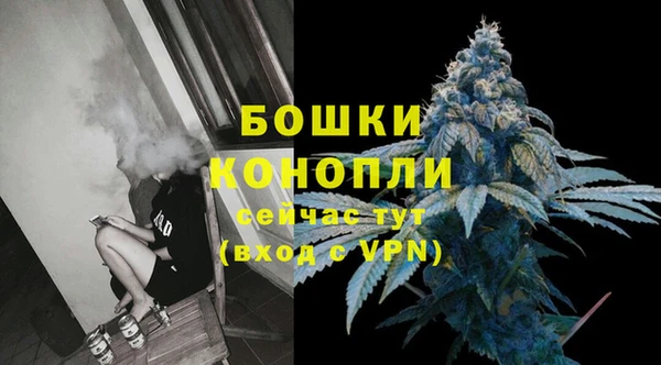 соль ск Няндома