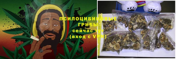 прущие грибы Нязепетровск