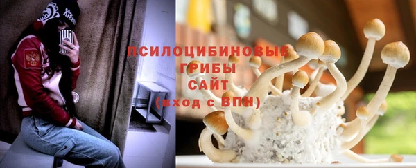 прущие грибы Нязепетровск