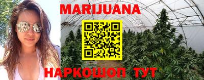 винт Камышлов