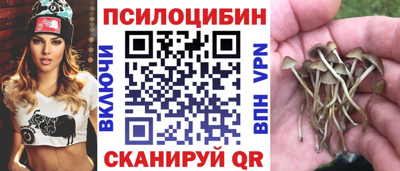 где купить наркотик  Кубинка  Псилоцибиновые грибы мухоморы 