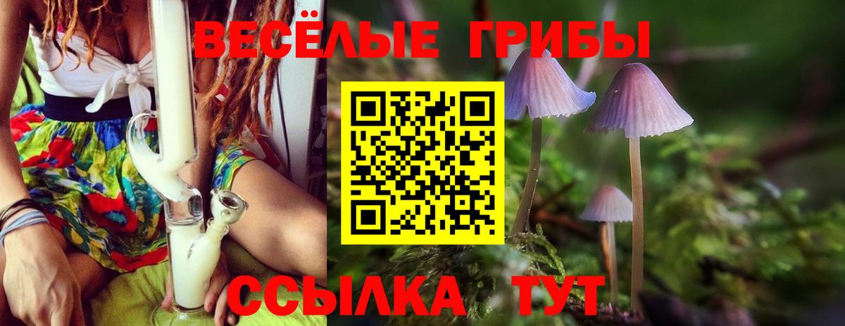 Кубинка  Псилоцибиновые грибы Psilocybe  Вход с VPN  Галлюциногенные грибы Psilocybine cubensis 